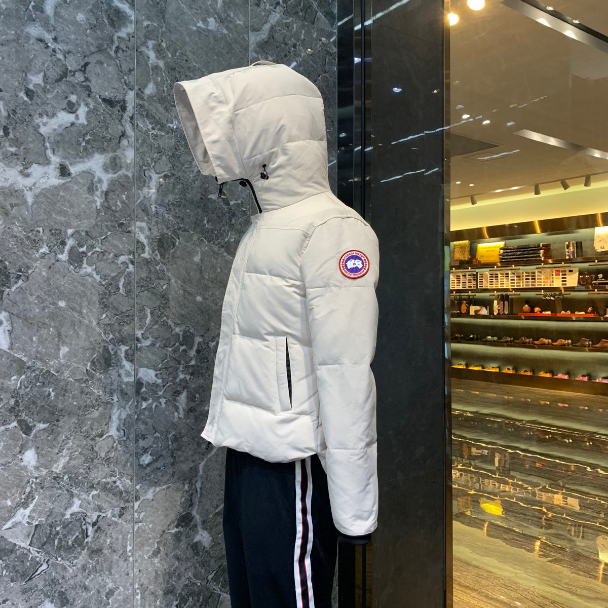 Arctic Shield Puffer Jacket