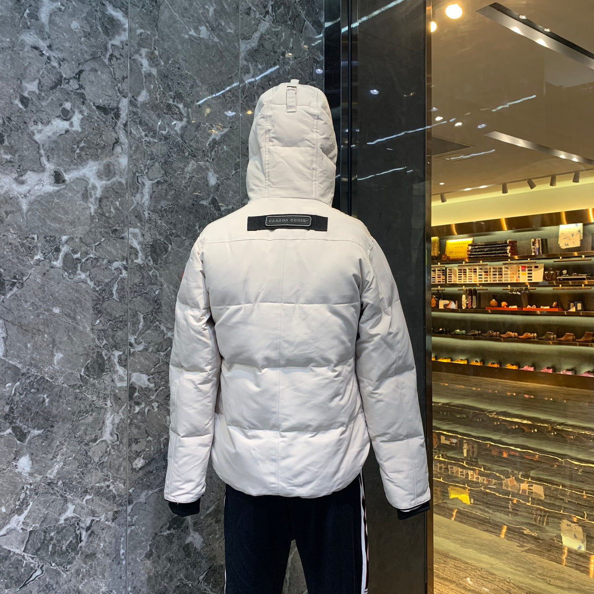 Arctic Shield Puffer Jacket