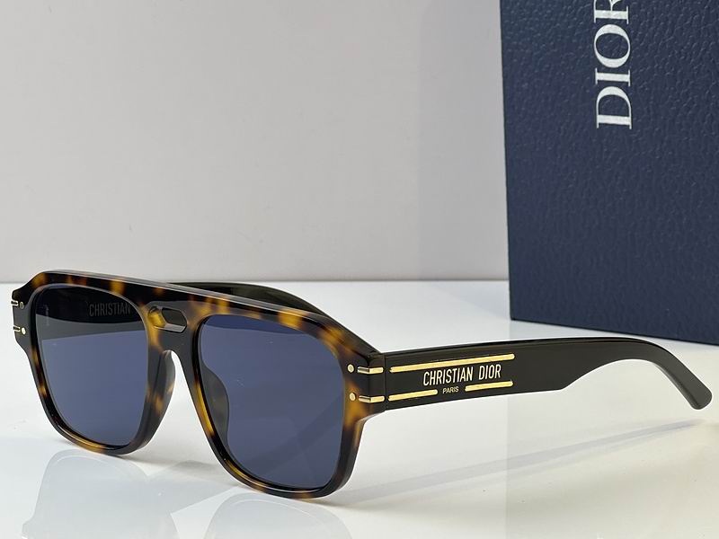 Bold Square Acetate Glasses